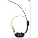 Collar GPS eSEEK MINI