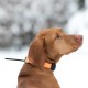LOCALIZADOR GPS DOGTRACE X30-T