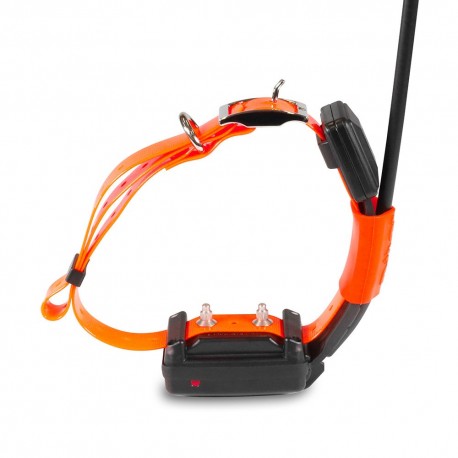 Collar SHORT Adicional X25-T