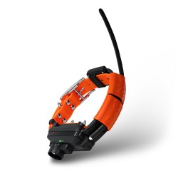 Collar Adicional GPS X25-TB