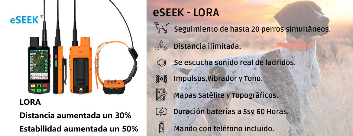 Collar Lora